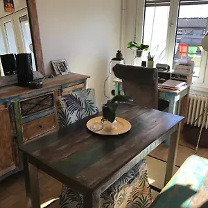  Apartment Cozy Studio